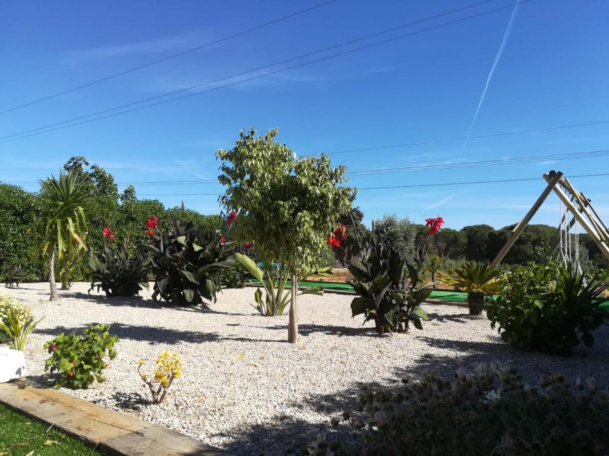 Quinta Das Palmeiras Куартейра Екстер'єр фото